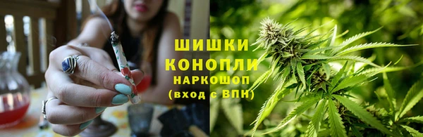 прущие крисы Гусиноозёрск