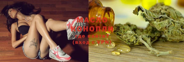 индика Горняк
