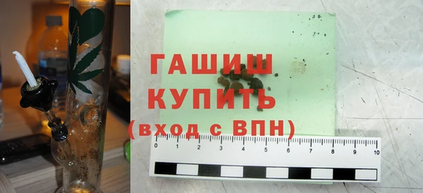 индика Горняк