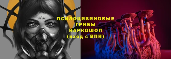 индика Горняк
