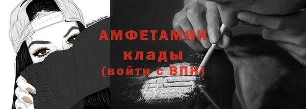 индика Горняк