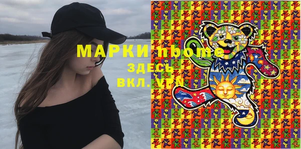 индика Горняк
